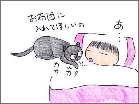 f:id:chai-ko:20201104201724j:plain