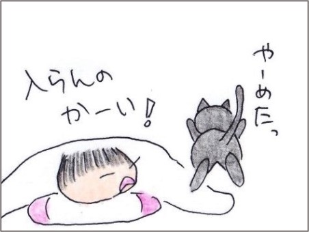 f:id:chai-ko:20201104201730j:plain