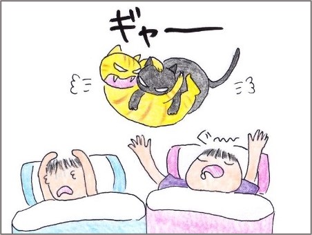 f:id:chai-ko:20201108184221j:plain