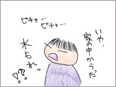 f:id:chai-ko:20201110200119j:plain