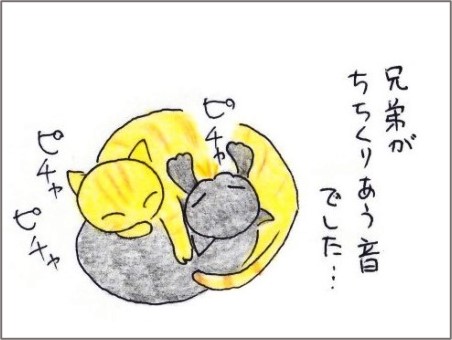 f:id:chai-ko:20201110200122j:plain