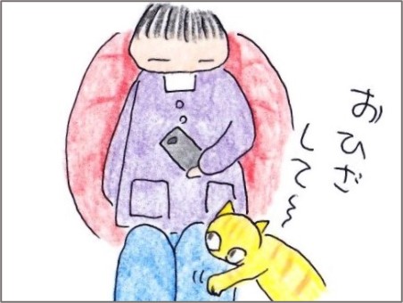 f:id:chai-ko:20201112194930j:plain