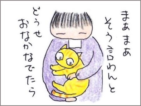 f:id:chai-ko:20201112194940j:plain