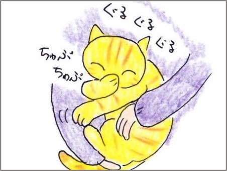 f:id:chai-ko:20201112194942j:plain
