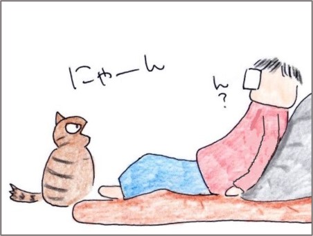 f:id:chai-ko:20201115161957j:plain