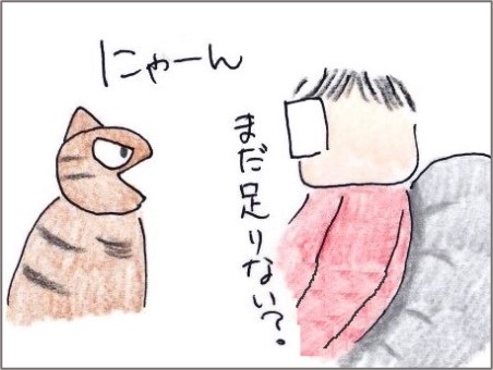 f:id:chai-ko:20201115162002j:plain