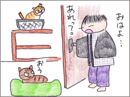 f:id:chai-ko:20201115174708j:plain