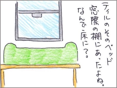 f:id:chai-ko:20201115174711j:plain
