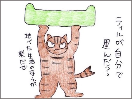f:id:chai-ko:20201115174745j:plain