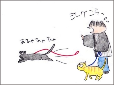 f:id:chai-ko:20201120203734j:plain
