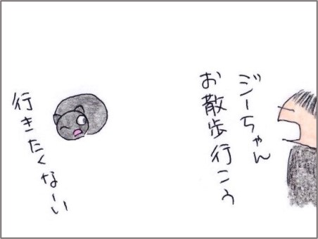 f:id:chai-ko:20201123190341j:plain
