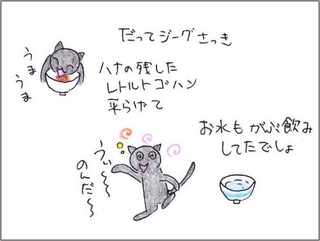 f:id:chai-ko:20201123190347j:plain