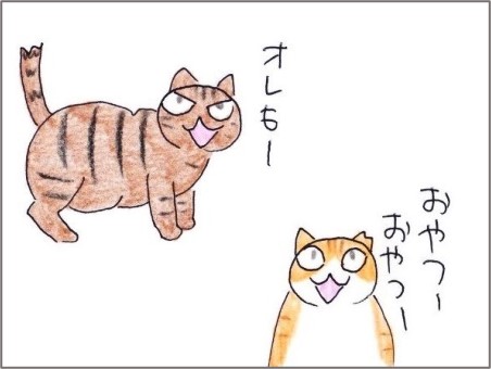 f:id:chai-ko:20201124195849j:plain