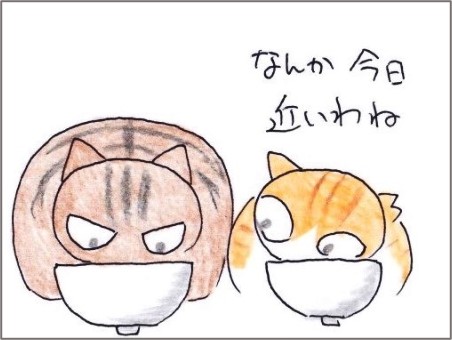 f:id:chai-ko:20201125202722j:plain