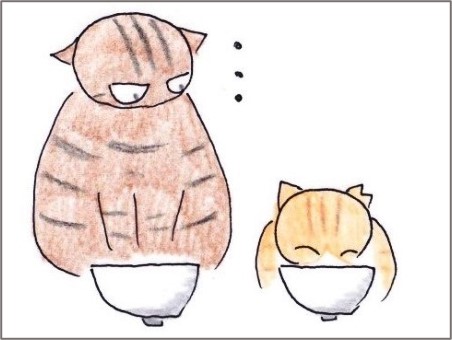 f:id:chai-ko:20201125202726j:plain