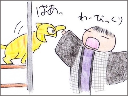 f:id:chai-ko:20201205182244j:plain