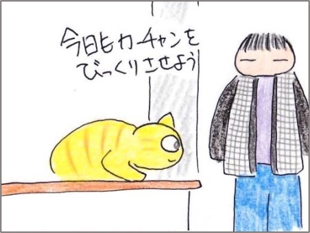 f:id:chai-ko:20201205191029j:plain