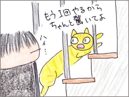 f:id:chai-ko:20201205191037j:plain