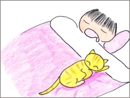 f:id:chai-ko:20201206192530j:plain