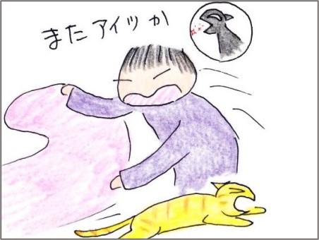 f:id:chai-ko:20201206192536j:plain