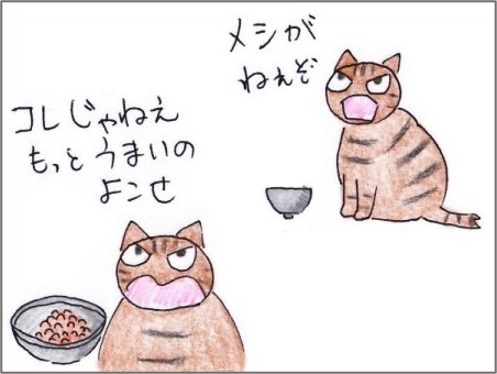 f:id:chai-ko:20201210192902j:plain