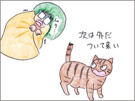 f:id:chai-ko:20201210192904j:plain