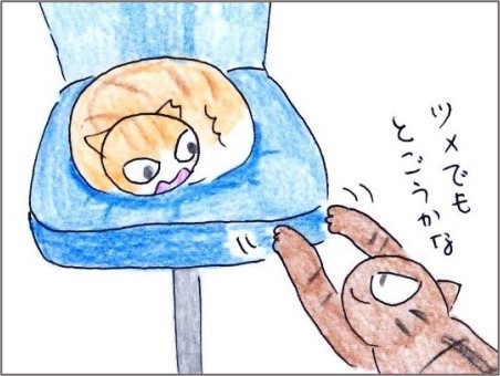 f:id:chai-ko:20201221205051j:plain