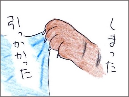 f:id:chai-ko:20201221205056j:plain