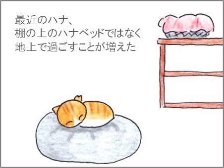 f:id:chai-ko:20201228193131j:plain