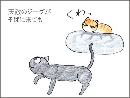 f:id:chai-ko:20201228193133j:plain