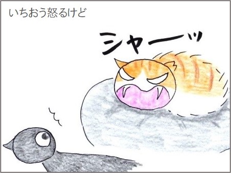 f:id:chai-ko:20201228193135j:plain