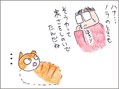 f:id:chai-ko:20210104193215j:plain