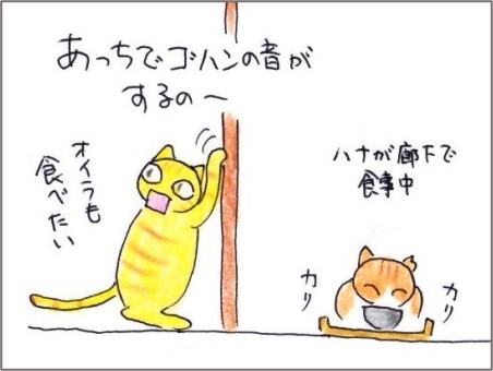 f:id:chai-ko:20210107195624j:plain
