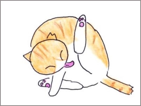 f:id:chai-ko:20210114191704j:plain