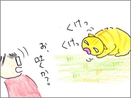f:id:chai-ko:20210207191738j:plain
