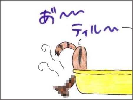 f:id:chai-ko:20210218195109j:plain