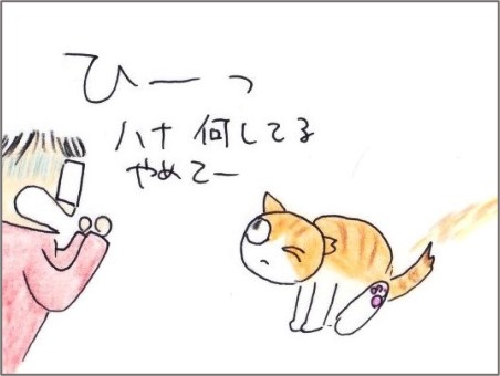 f:id:chai-ko:20210223173649j:plain