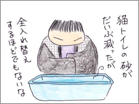 f:id:chai-ko:20210308194047j:plain