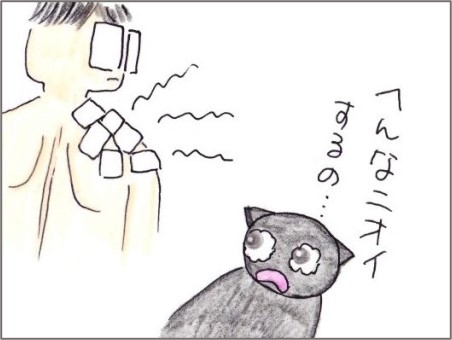 f:id:chai-ko:20210321192317j:plain