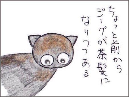 f:id:chai-ko:20210323201305j:plain