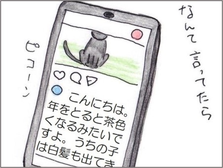 f:id:chai-ko:20210323201310j:plain