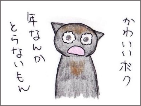 f:id:chai-ko:20210323201313j:plain