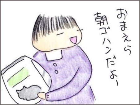 f:id:chai-ko:20210326191630j:plain