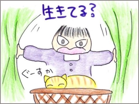 f:id:chai-ko:20210326191638j:plain