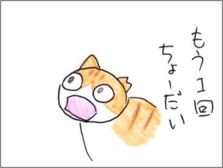 f:id:chai-ko:20210411193317j:plain