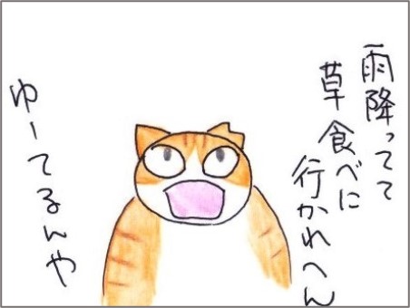 f:id:chai-ko:20210417183242j:plain