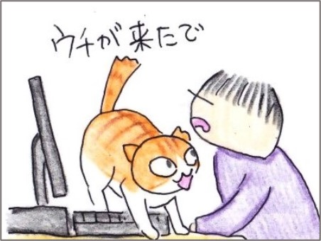 f:id:chai-ko:20210428200603j:plain