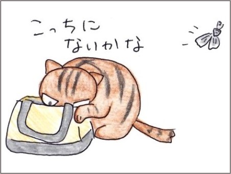 f:id:chai-ko:20210509194152j:plain