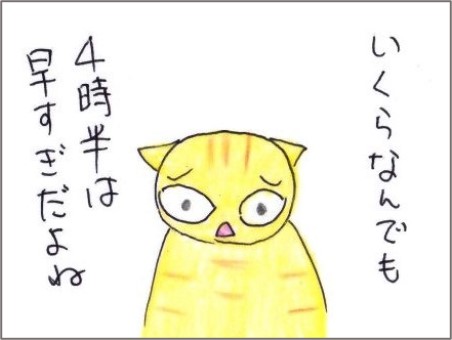 f:id:chai-ko:20210511201258j:plain