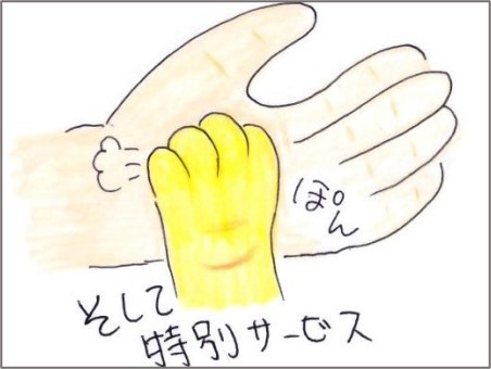 f:id:chai-ko:20210511201303j:plain